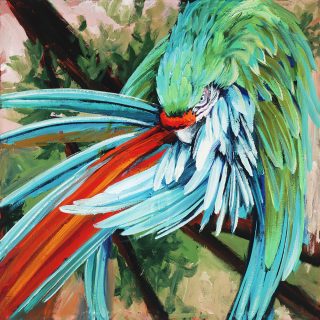 Tropical McCaw, Original