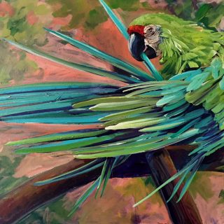 Preening Parrot, Print