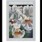 FLOWER POSTERS