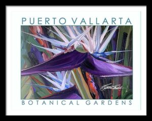 flower poster bird of paradise