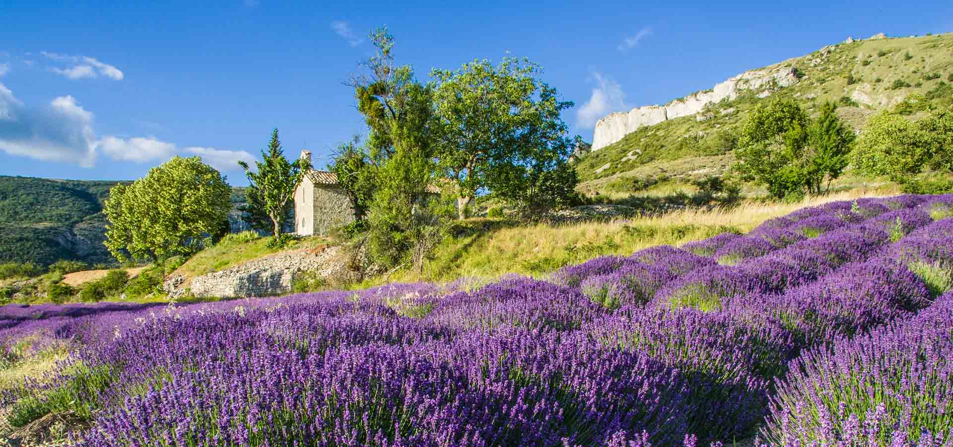 DEPOSITS, Luxury Painting Retreats France