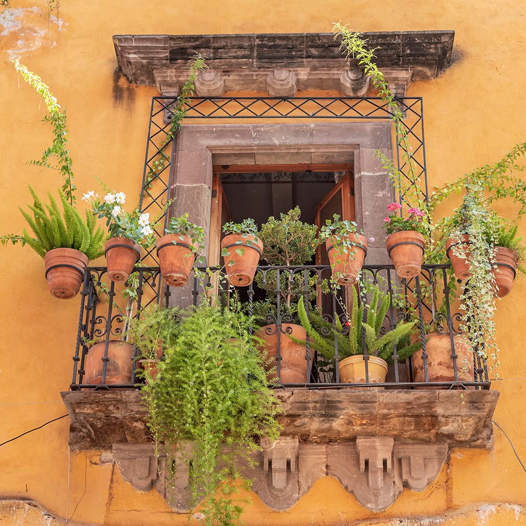 week long art retreat San Miguel Mexico